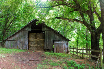 An old weathered barn filled with hay bales is in a green forest