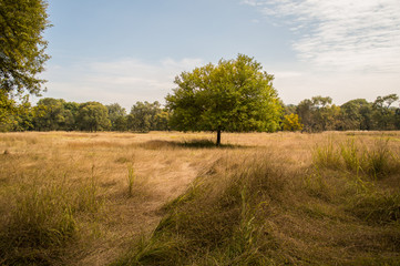 Chengde Mountain Resort, a large complex of imperial palaces and gardens and a World Heritage Site situated in Chengde, imperial summer residence in north China.