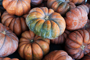 Halloween pumpkins on city streets, in shops and at festive fairs._5
