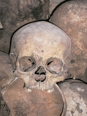 human skull found during excavation