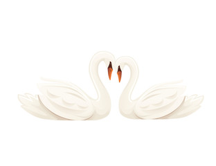 Pair of big white swan cute animal love cartoon animal design flat vector illustration isolated on white background