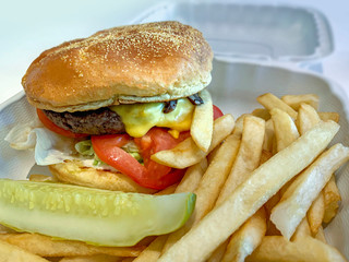 hamburger and french fries