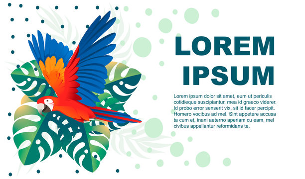 Adult parrot of red-and-green macaw Ara (Ara chloropterus) and tropical green leaves cartoon bird design flat vector illustration on white background horizontal flyer design