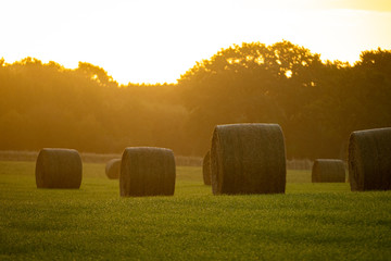 Strohballen im Sonnenaufgang