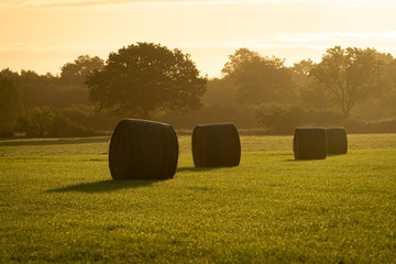 Strohballen im Sonnenaufgang © Ben.Photoholic