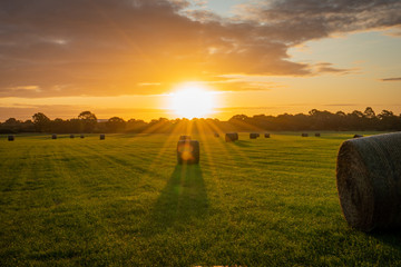 Strohballen im Sonnenaufgang © Ben.Photoholic