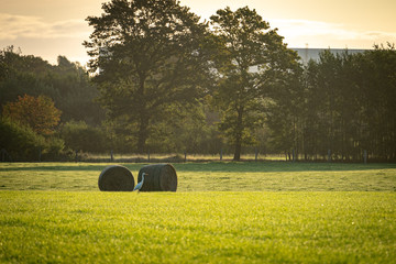 Strohballen im Sonnenaufgang © Ben.Photoholic