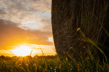 Strohballen im Sonnenaufgang © Ben.Photoholic