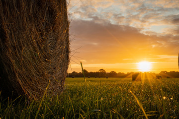 Strohballen im Sonnenaufgang © Ben.Photoholic