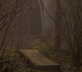 Fototapeta premium small bridge in the woods at dawn with fog 