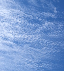 Fototapeta premium Faszinierende Wolkenbilder - weiße Wolken vor blauen Himmel - Hintergrund und Textur