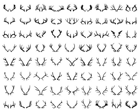 Black silhouettes of different deer horns on white background