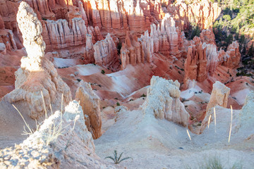 The spectacle of thousands of glowing orange earthen spires concentrated in the valley below the...