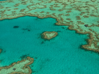 Fototapeta na wymiar herz im Ozean great barrier reef