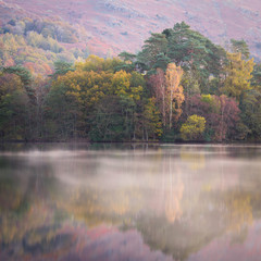 Trees on the shore of Grasmere change colour in Autumn