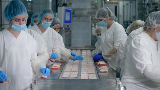 Packaging process of fish snacks carried out by female food factory workers