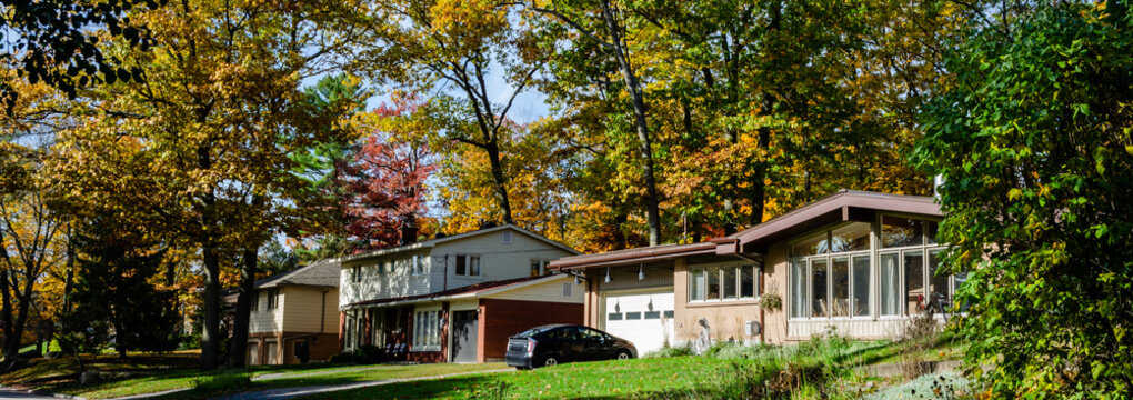 Panorama of a suburban street with tall trees in the fall