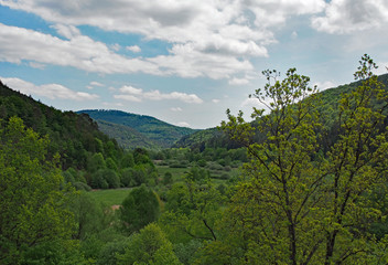 Fototapeta na wymiar Landschaften – Fischbach bei Dahn – Ortsgemeinde in Rheinland-Pfalz