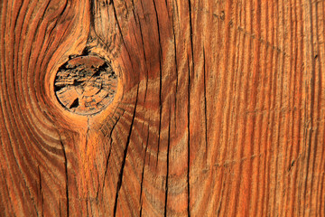 Woodiness grain