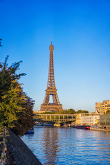View from iles aux cygnes of Eiffel tower in autumn time