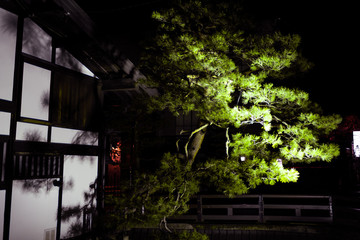 Takayama, Japan building by Enako river in Gifu prefecture in Japan with traditional village with illuminated green tree at night