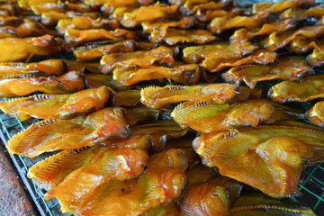Sun dried fresh catfish in market