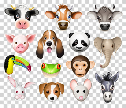 Illustration set of cartoon animals