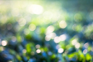 Green bokeh