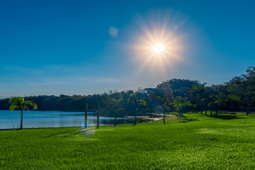 sunset in the park