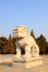 Fototapeta na wymiar Chinese ancient lion sculptures