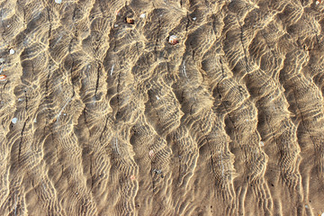 Transparent water on a yellow squeak, Tel Aviv beach