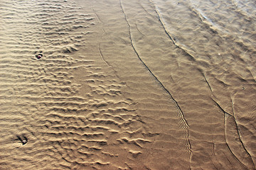 Transparent water on a yellow squeak, Tel Aviv beach