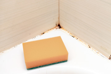 Mold fungus and rust growing in tile joints in damp poorly ventilated bathroom with high humidity, wtness, moisture and dampness problem in bath areas concept