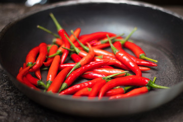 hot peppers, red peppers. A large amount of hot red chili pepper. Spicy, burning vegetable. Delicious food, pepper, vegetable, restaurant, dish