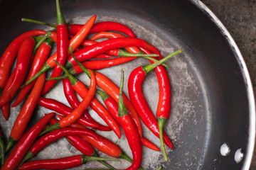 hot peppers, red peppers. A large amount of hot red chili pepper. Spicy, burning vegetable. Delicious food, pepper, vegetable, restaurant, dish