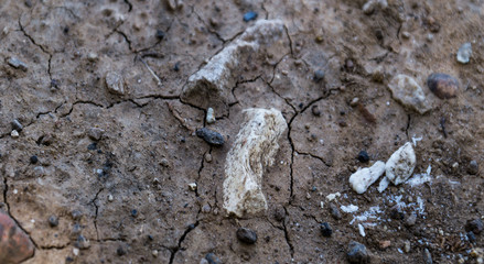 texture of stone