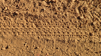 Atlas - Morocco