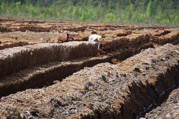 Pile of stacked bog peat turf briquette