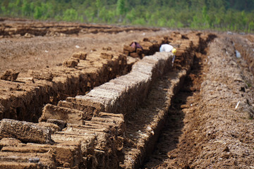 Pile of stacked bog peat turf briquette