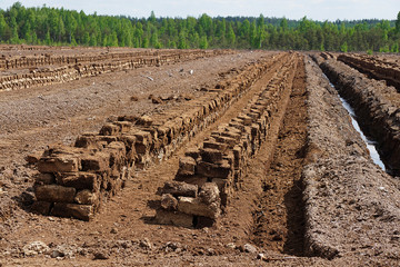 Pile of stacked bog peat turf briquette - obrazy, fototapety, plakaty