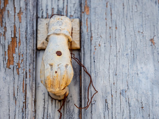 Iron knocker on an old wooden door in a house in a village in Castile and Leon, Vilviestre del Pinar, Burgos.