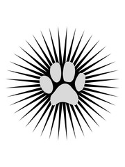 stern strahlen katze hund haustier pfote fußabdruck kätzchen liebe welpe herrchen frauchen clipart design