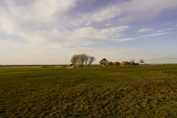 house in a field