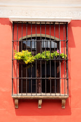 Windonw in spanish architecture style with plants in antigua guatemala