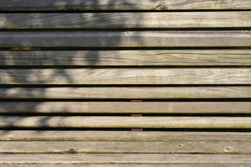 木陰と木製のベンチ