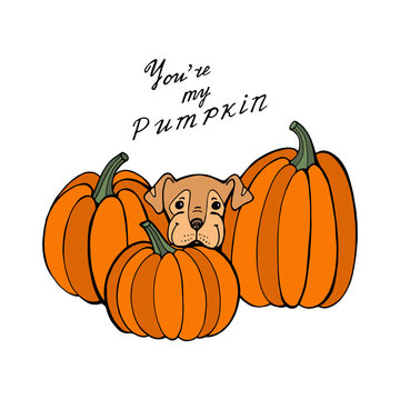 Dog and pumpkin. Autumn time. Vector hand draw illustration. Template for a card or poster.
