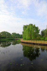 Obraz premium South Lake Park scenery, Tangshan City, Hebei, China