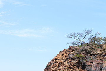 The sky on a clear day