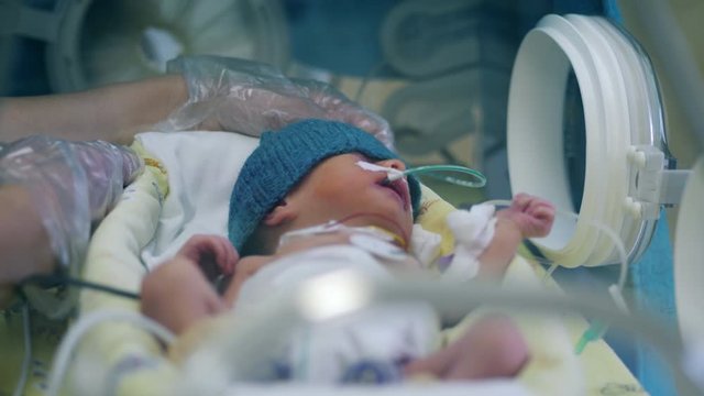 Nurse checks baby in infant incubator.