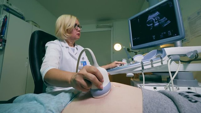 Doctor checks pregnant woman with ultrasound.